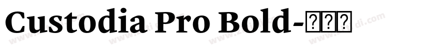 Custodia Pro Bold字体转换